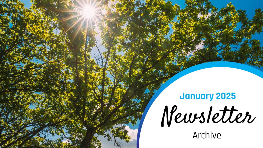 A bright sun shines through the green leaves of a large tree against a clear blue sky. In the bottom right corner, there is a white semi-circle with a blue border containing the text "January 2025 Newsletter Archive."