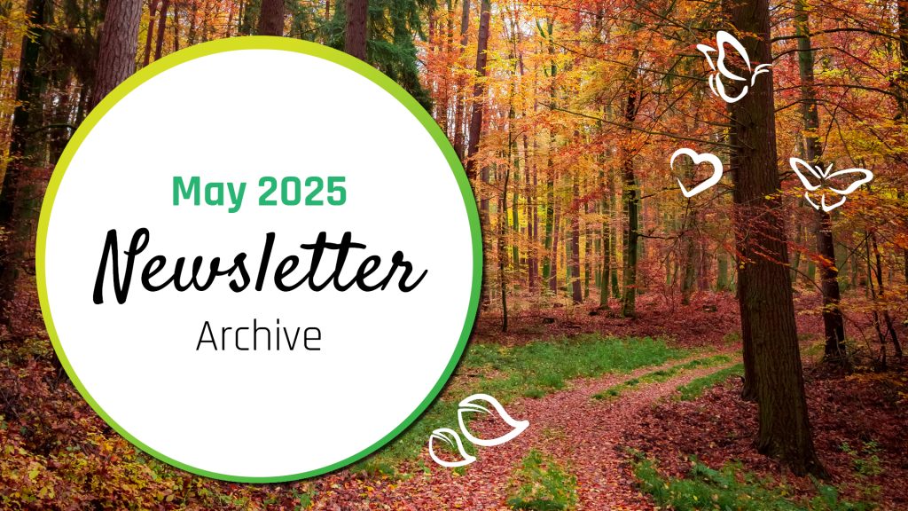 An image of a white circle with the text inside that says May 2025 Newsletter archive. the circle has a green and yellow boarder and is sitting on the left side of an image of an autumn forest. With white icons of butterflies, heart and leaves on the image as well.
